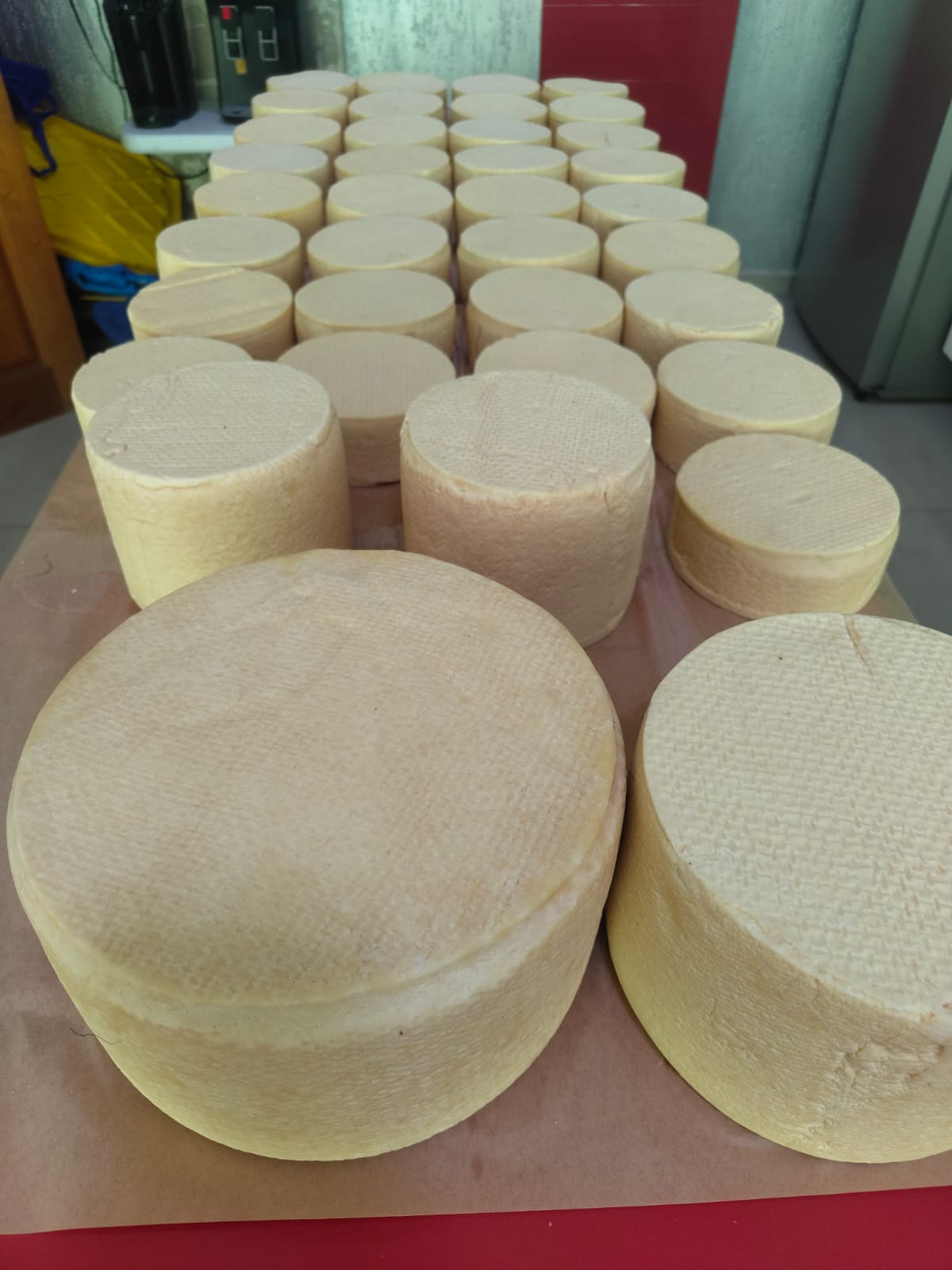 Queso Artesanal Valencia de Michoacan pieza de 1kg